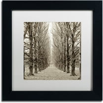 Trademark Fine Art "Hampton Gates Promenade III" Canvas Art by Alan Blaustein, White Matte, Black Frame