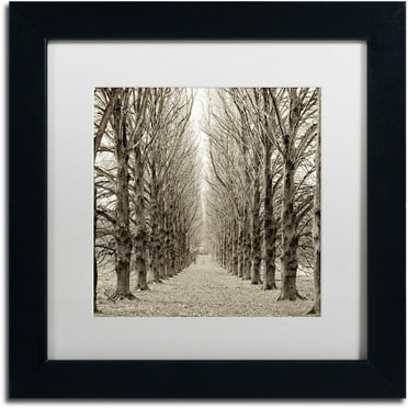 Trademark Fine Art "Hampton Gates Promenade III" Canvas Art by Alan Blaustein, White Matte, Black Frame