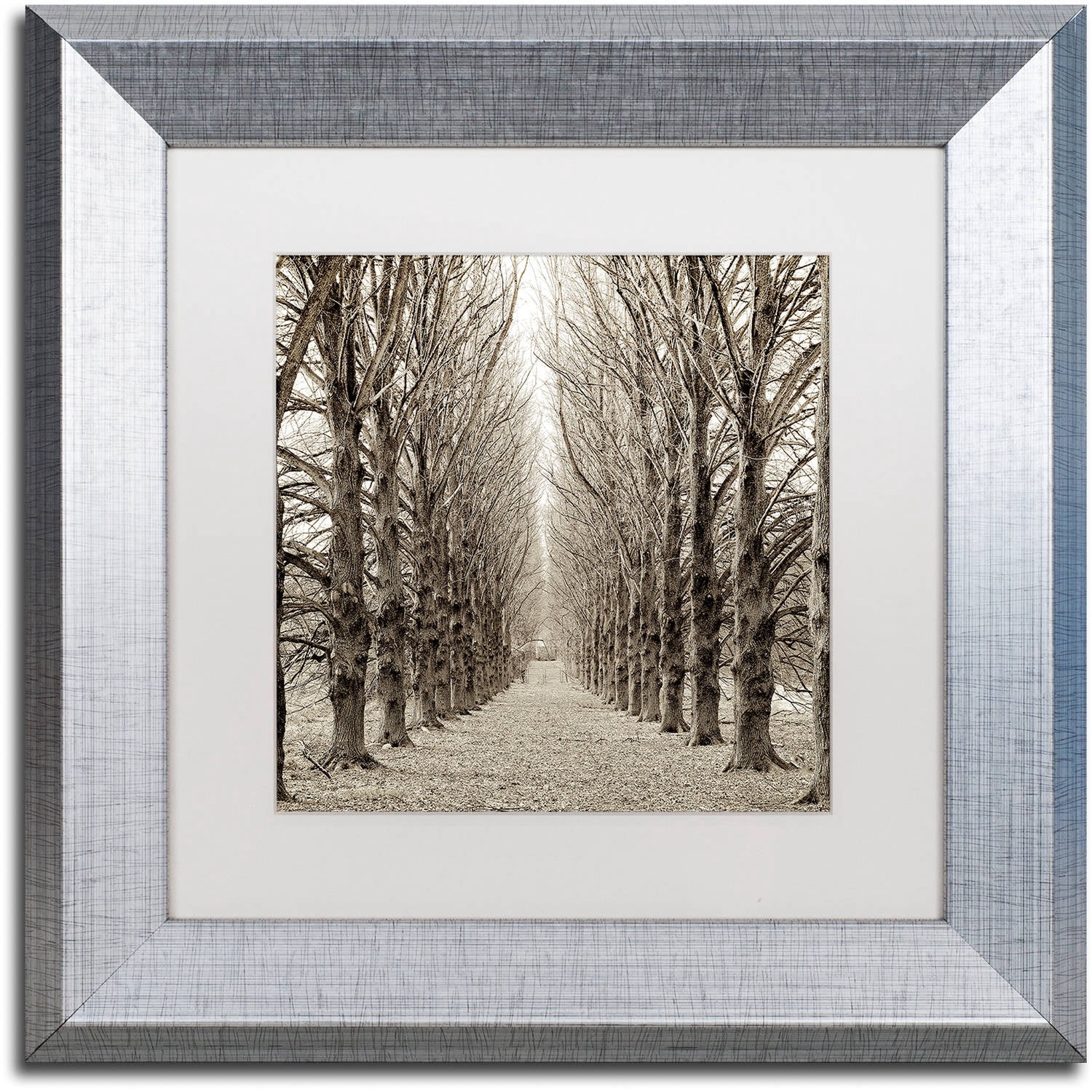 Trademark Fine Art "Hampton Gates Promenade III" Canvas Art by Alan Blaustein, White Matte, Silver Frame