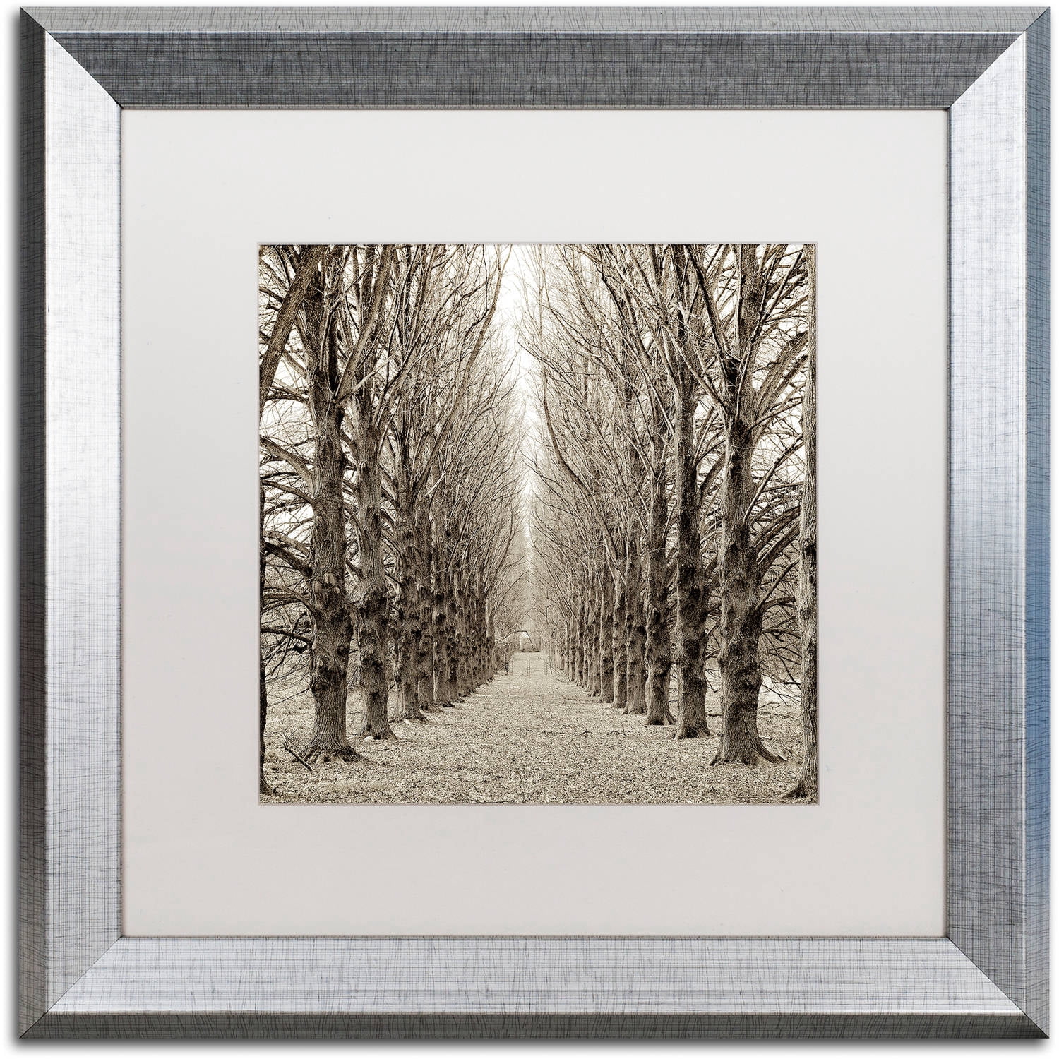Trademark Fine Art "Hampton Gates Promenade III" Canvas Art by Alan Blaustein, White Matte, Silver Frame