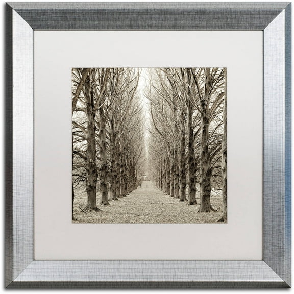 Trademark Fine Art "Hampton Gates Promenade III" Canvas Art by Alan Blaustein, White Matte, Silver Frame