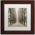 thumbnail image 1 of Trademark Fine Art "Hampton Gates Promenade III" Canvas Art by Alan Blaustein, White Matte, Wood Frame, 1 of 4