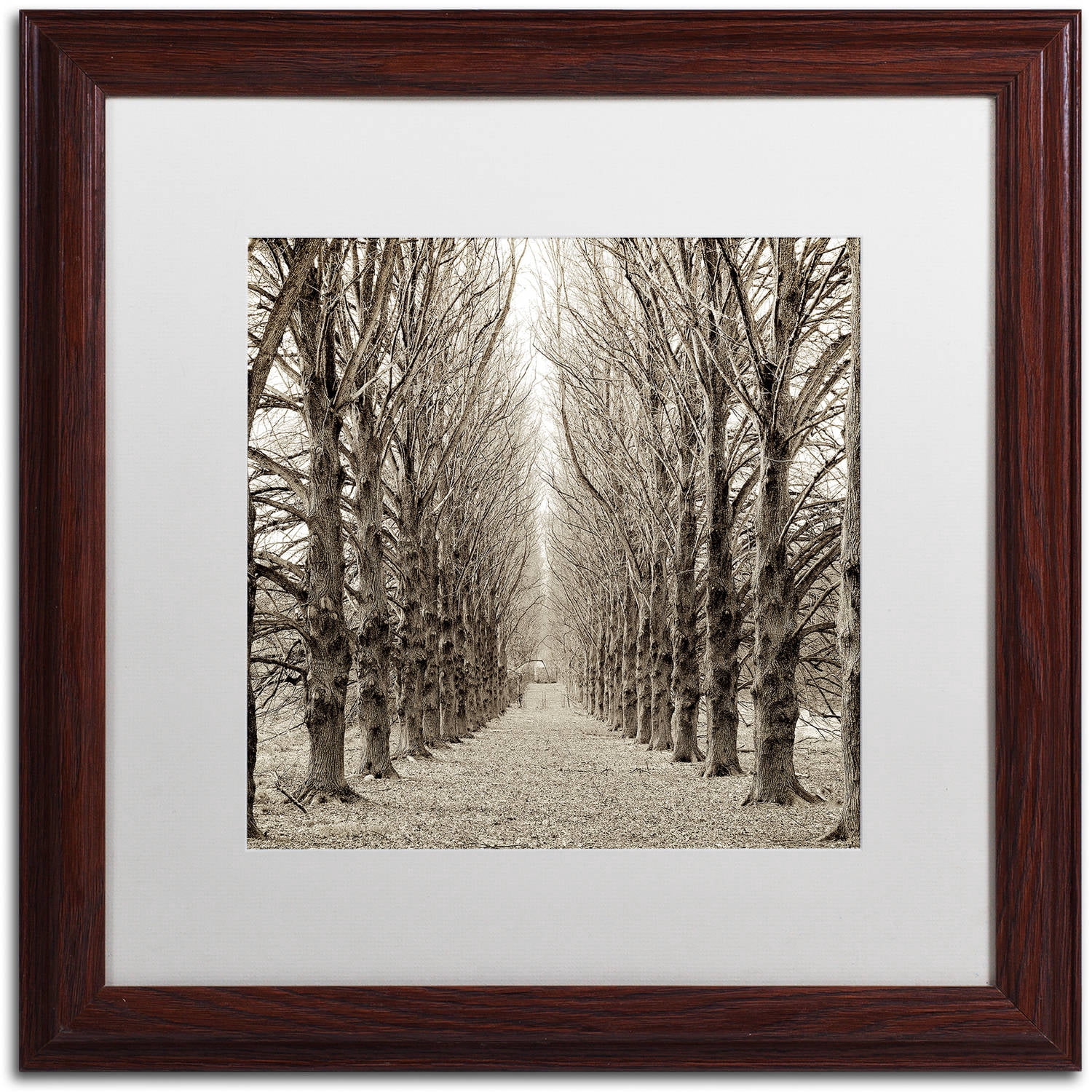 Trademark Fine Art "Hampton Gates Promenade III" Canvas Art by Alan Blaustein, White Matte, Wood Frame
