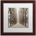 thumbnail image 1 of Trademark Fine Art "Hampton Gates Promenade III" Canvas Art by Alan Blaustein, White Matte, Wood Frame, 1 of 4