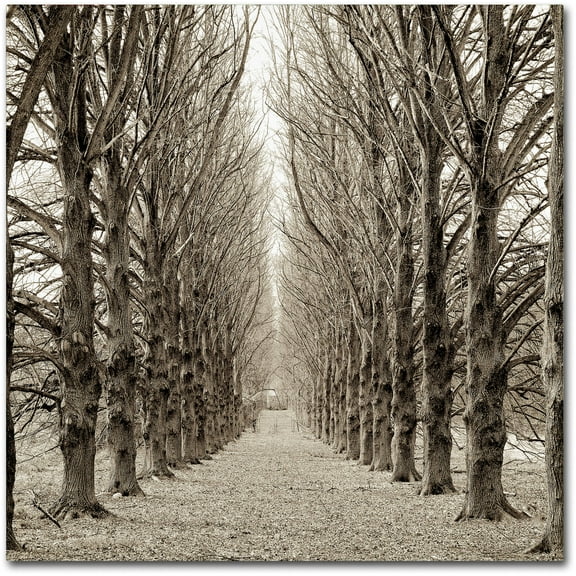 Trademark Fine Art Alan Blaustein Hampton Gates Promenade III Canvas Wall Art - 35x35