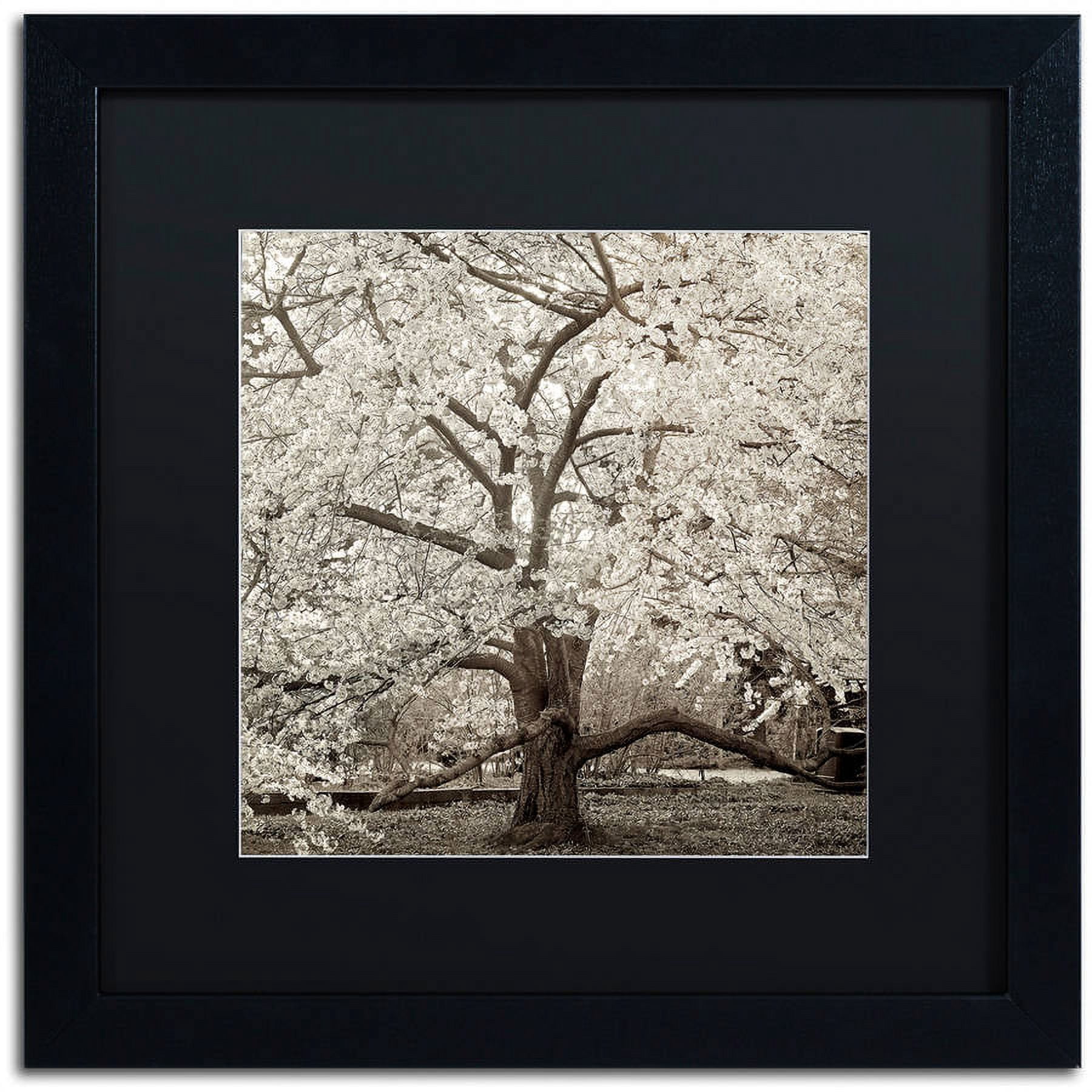 Trademark Fine Art "Hampton Magnolia II" Canvas Art by Alan Blaustein, Black Matte, Black Frame