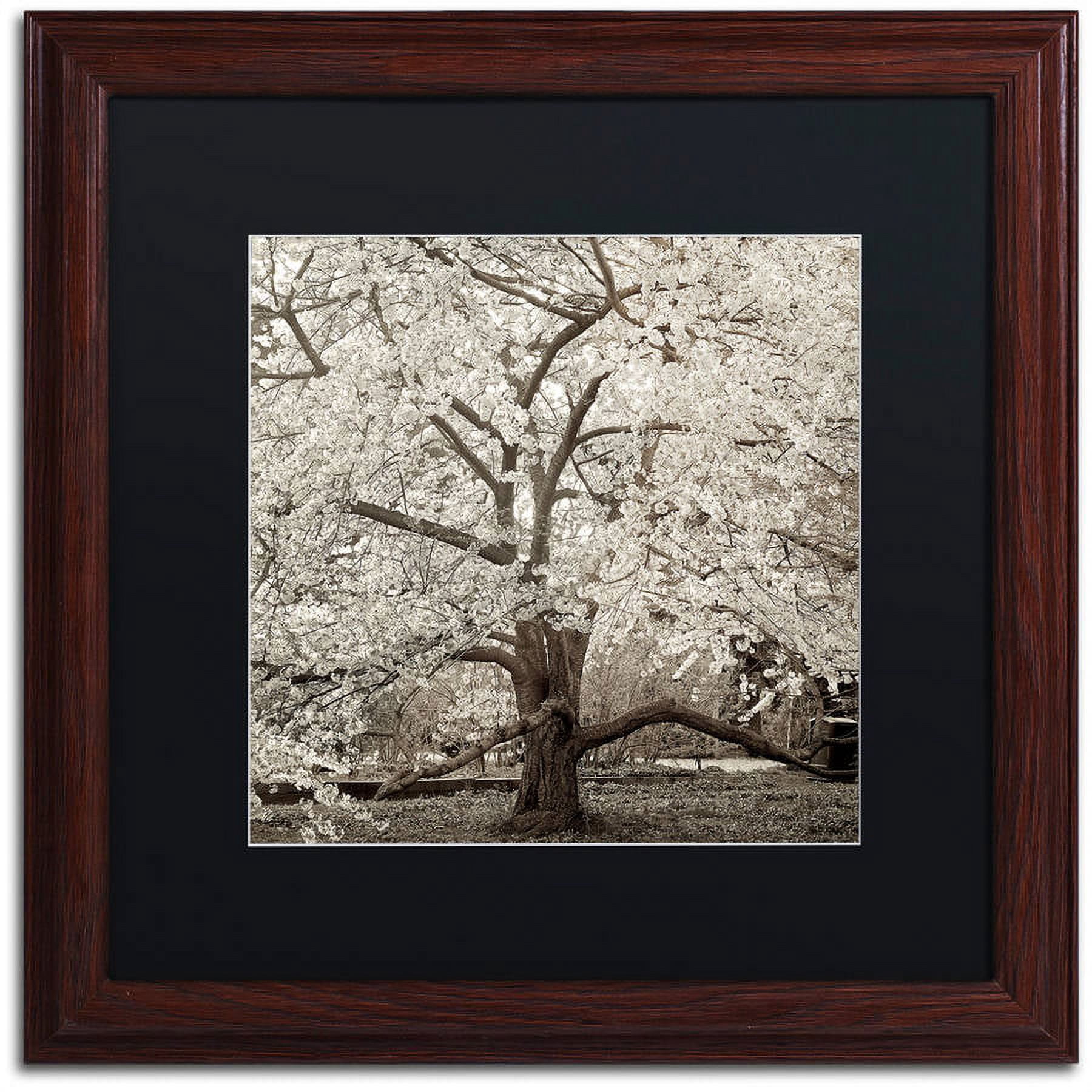 Trademark Fine Art "Hampton Magnolia II" Canvas Art by Alan Blaustein, Black Matte, Wood Frame