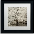 thumbnail image 1 of Trademark Fine Art "Hampton Magnolia II" Canvas Art by Alan Blaustein, White Matte, Black Frame, 1 of 4