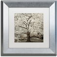thumbnail image 1 of Trademark Fine Art "Hampton Magnolia II" Canvas Art by Alan Blaustein, White Matte, Silver Frame, 1 of 4