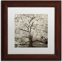 Trademark Fine Art "Hampton Magnolia II" Canvas Art by Alan Blaustein, White Matte, Wood Frame