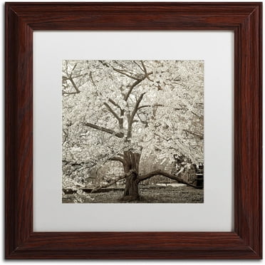 Trademark Fine Art "Hampton Magnolia II" Canvas Art by Alan Blaustein, White Matte, Wood Frame