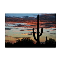 Trademark Fine Art 'Hands Off' Canvas Art by Philippe Sainte-Laudy