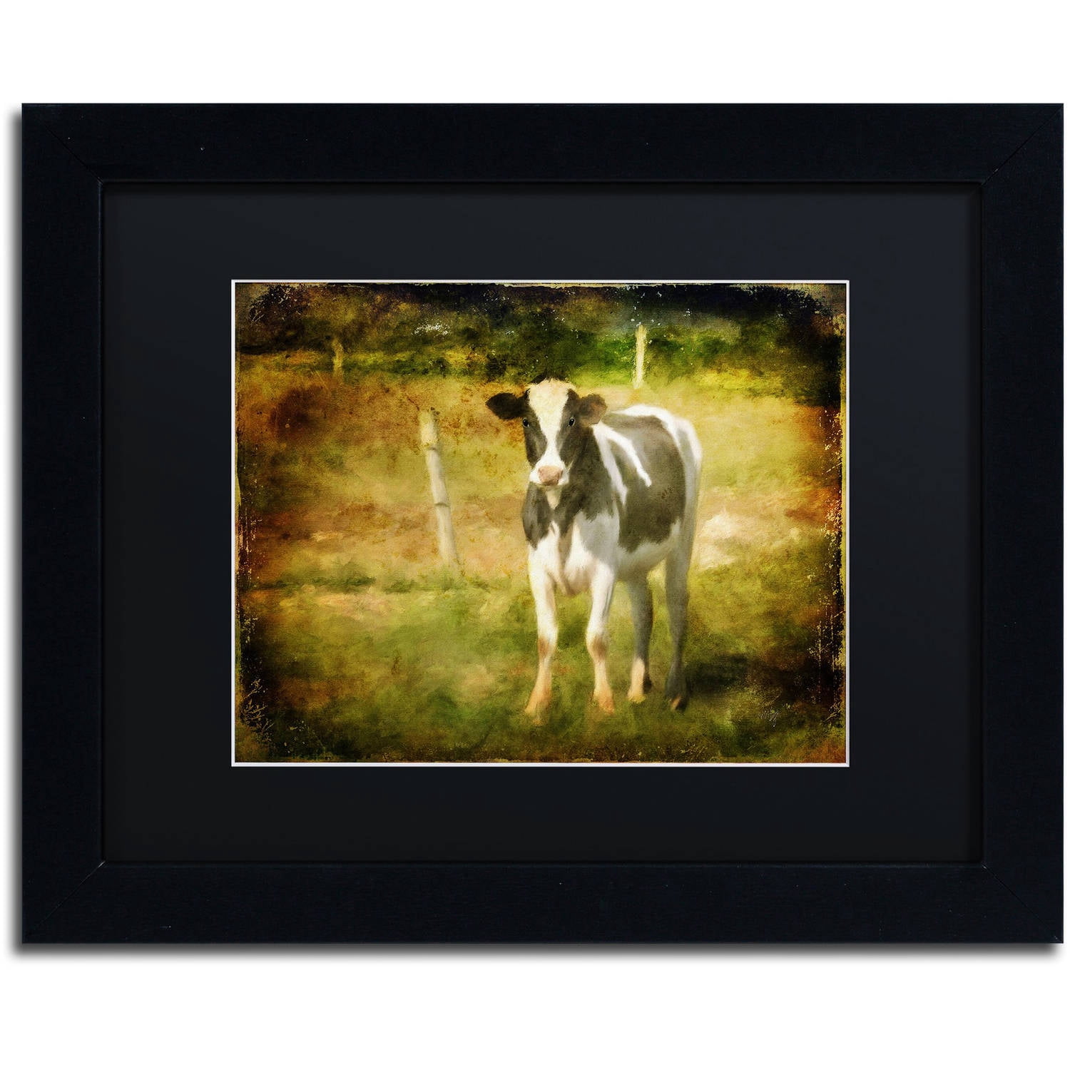 Trademark Fine Art "Handsome Holstein" Canvas Art by Lois Bryan Black Matte, Black Frame
