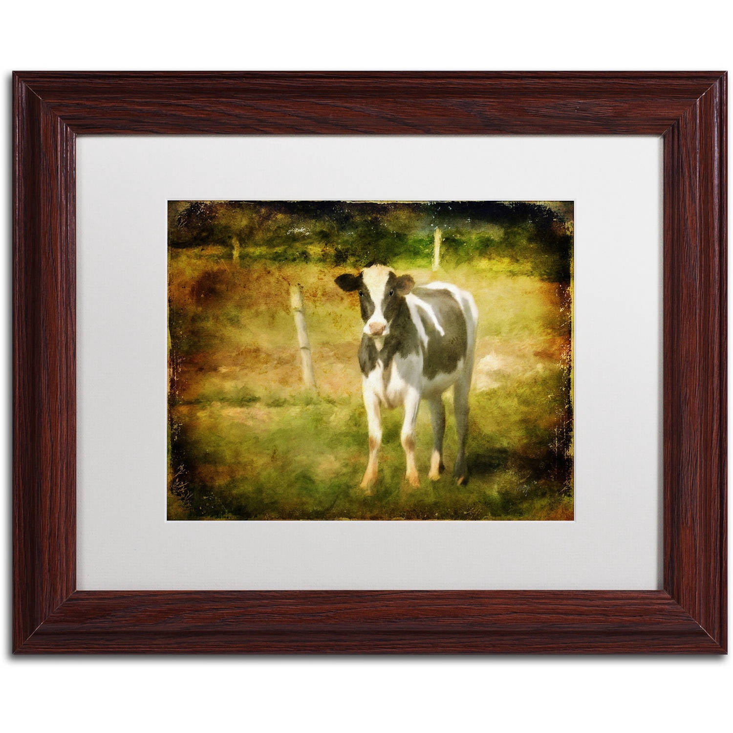 Trademark Fine Art "Handsome Holstein" Canvas Art by Lois Bryan White Matte, Wood Frame