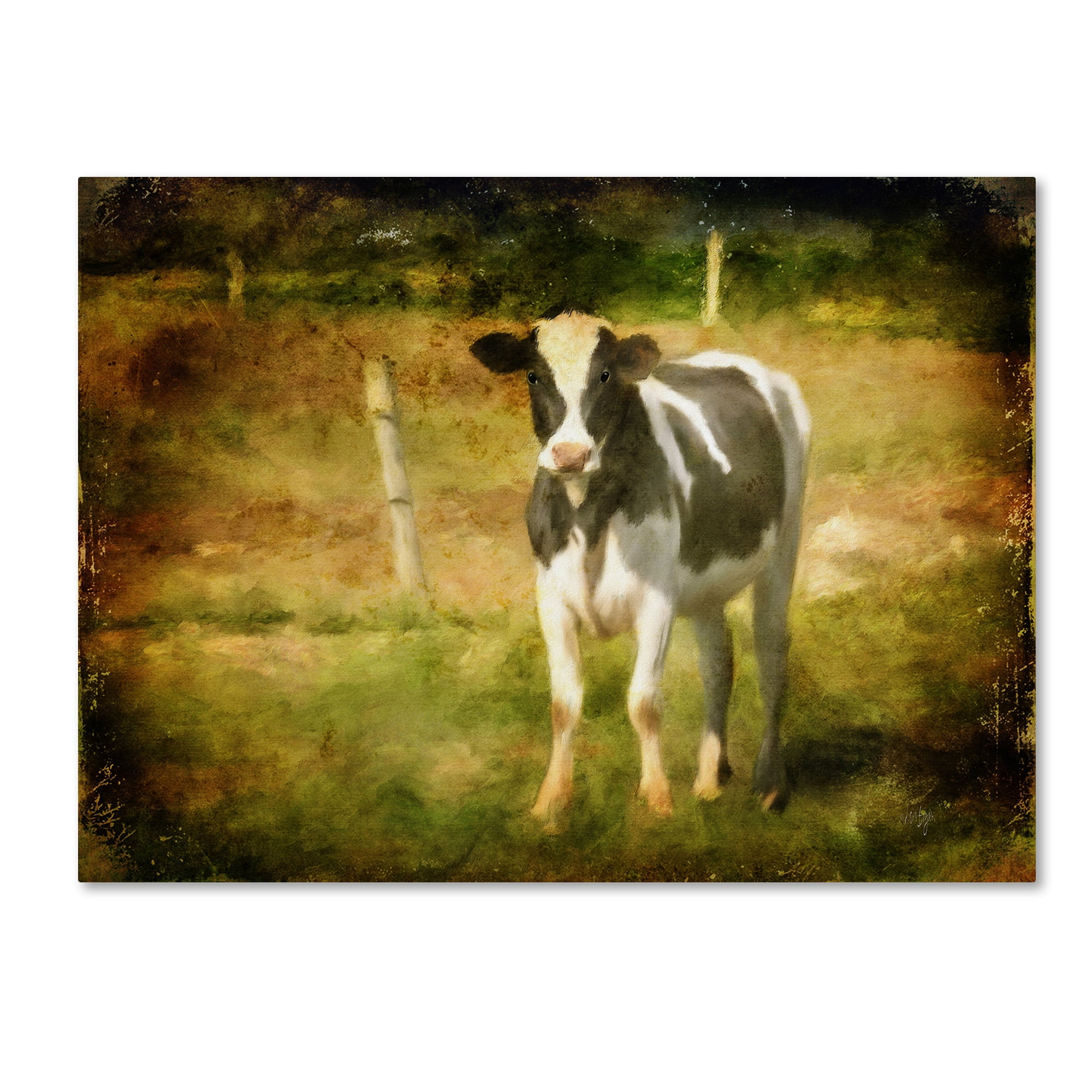 Trademark Fine Art "Handsome Holstein" Canvas Art by Lois Bryan