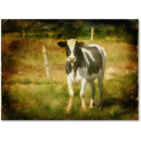 Trademark Fine Art "Handsome Holstein" Canvas Art by Lois Bryan