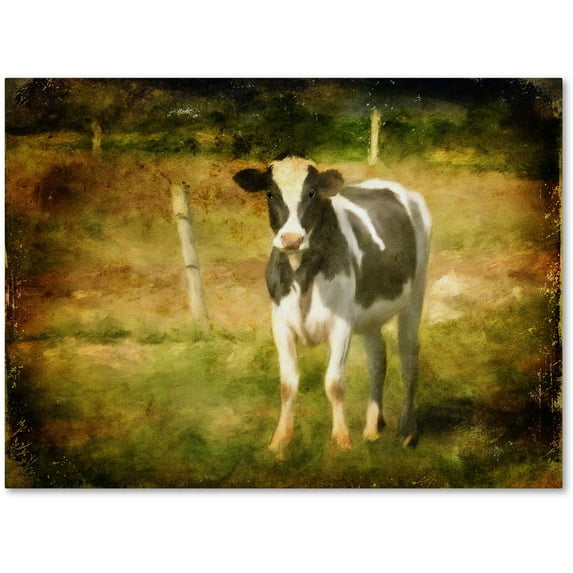 Trademark Fine Art "Handsome Holstein" Canvas Art by Lois Bryan