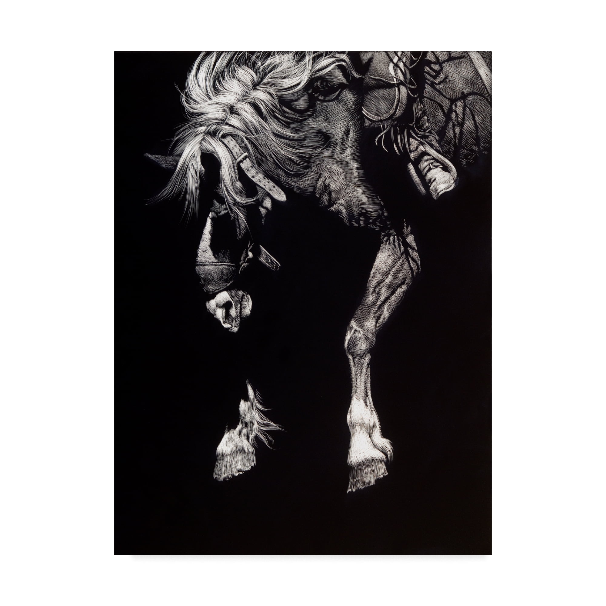 Trademark Fine Art 'Hangin Four' Canvas Art by Julie T. Chapman