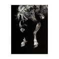 thumbnail image 1 of Trademark Fine Art 'Hangin Four' Canvas Art by Julie T. Chapman, 1 of 4