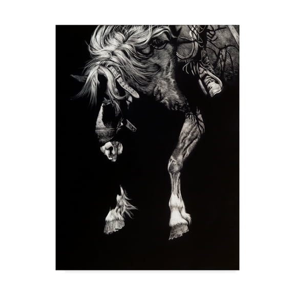 Trademark Fine Art 'Hangin Four' Canvas Art by Julie T. Chapman