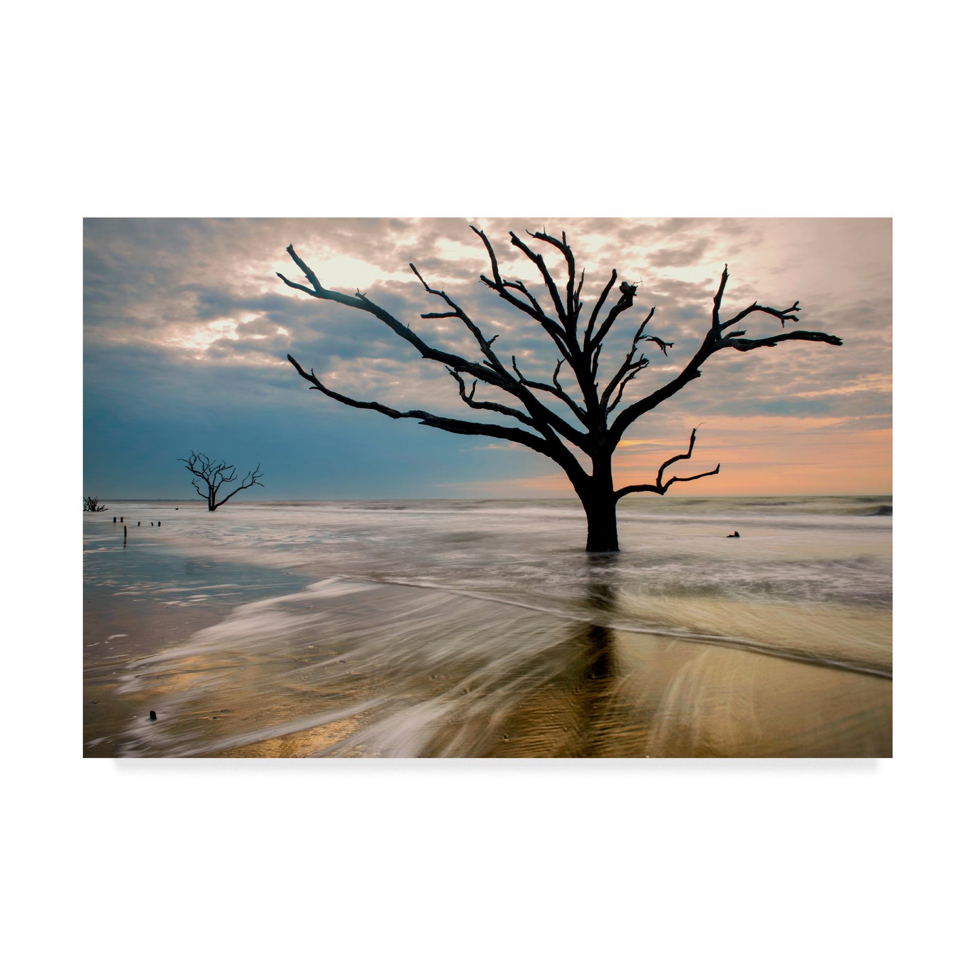 Trademark Fine Art 'Hangin On' Canvas Art by Danny Head