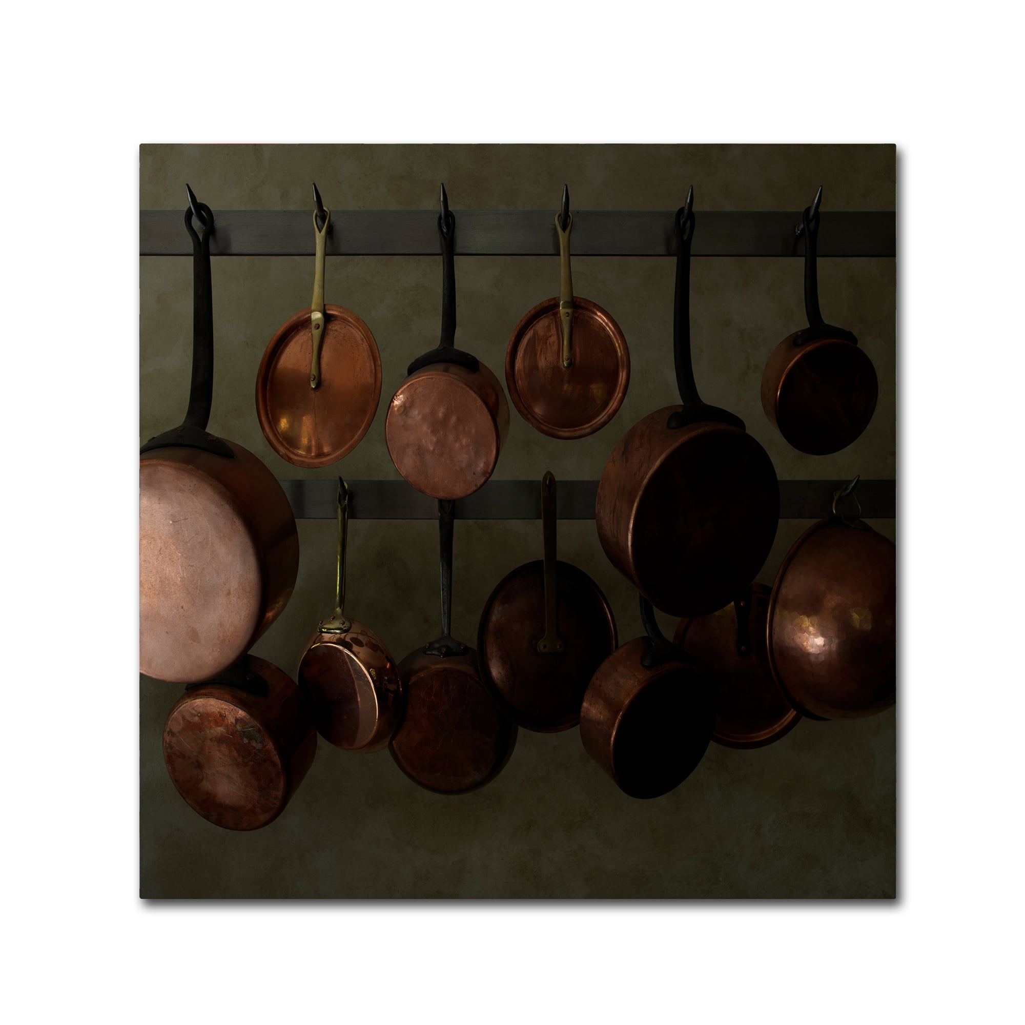 Trademark Fine Art 'Hanging Copper' Canvas Art by Geoffrey Ansel Agrons