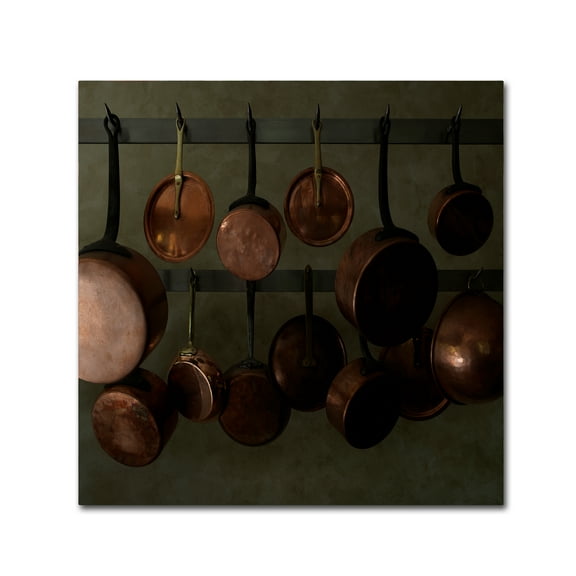 Trademark Fine Art 'Hanging Copper' Canvas Art by Geoffrey Ansel Agrons