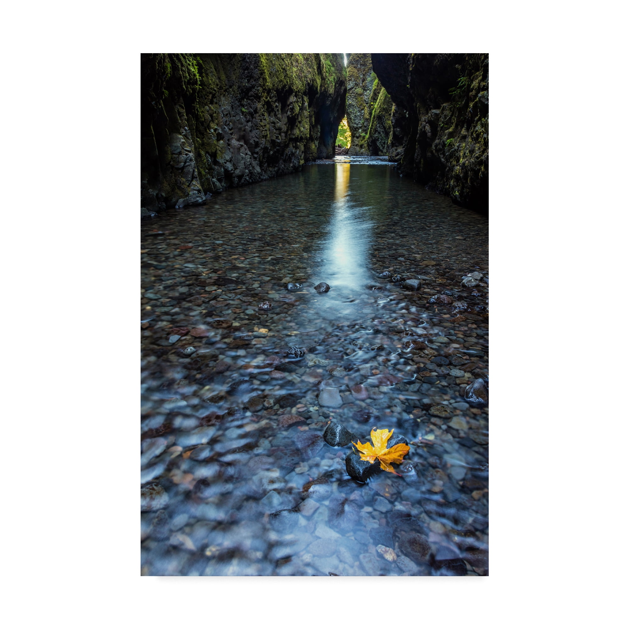 Trademark Fine Art 'Hanging On' Canvas Art by Pierre Leclerc