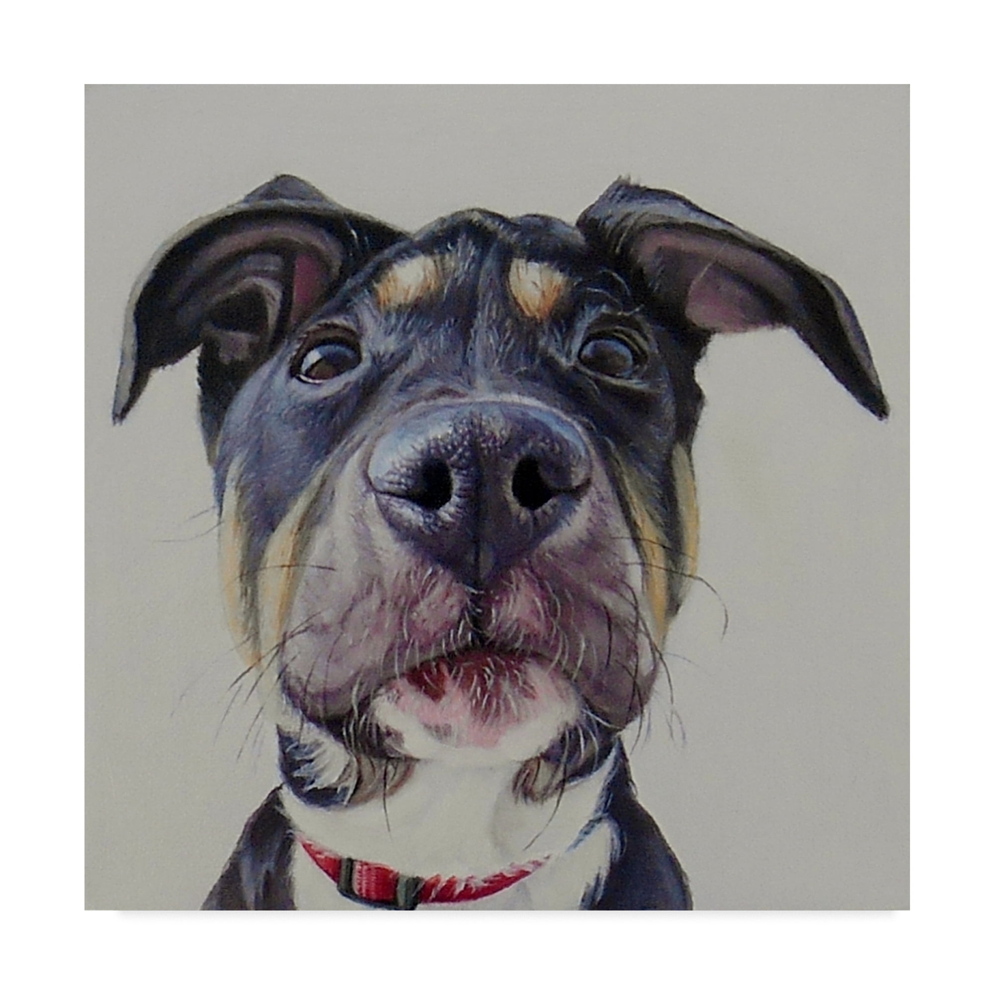 Trademark Fine Art 'Hank' Canvas Art by James Ruby