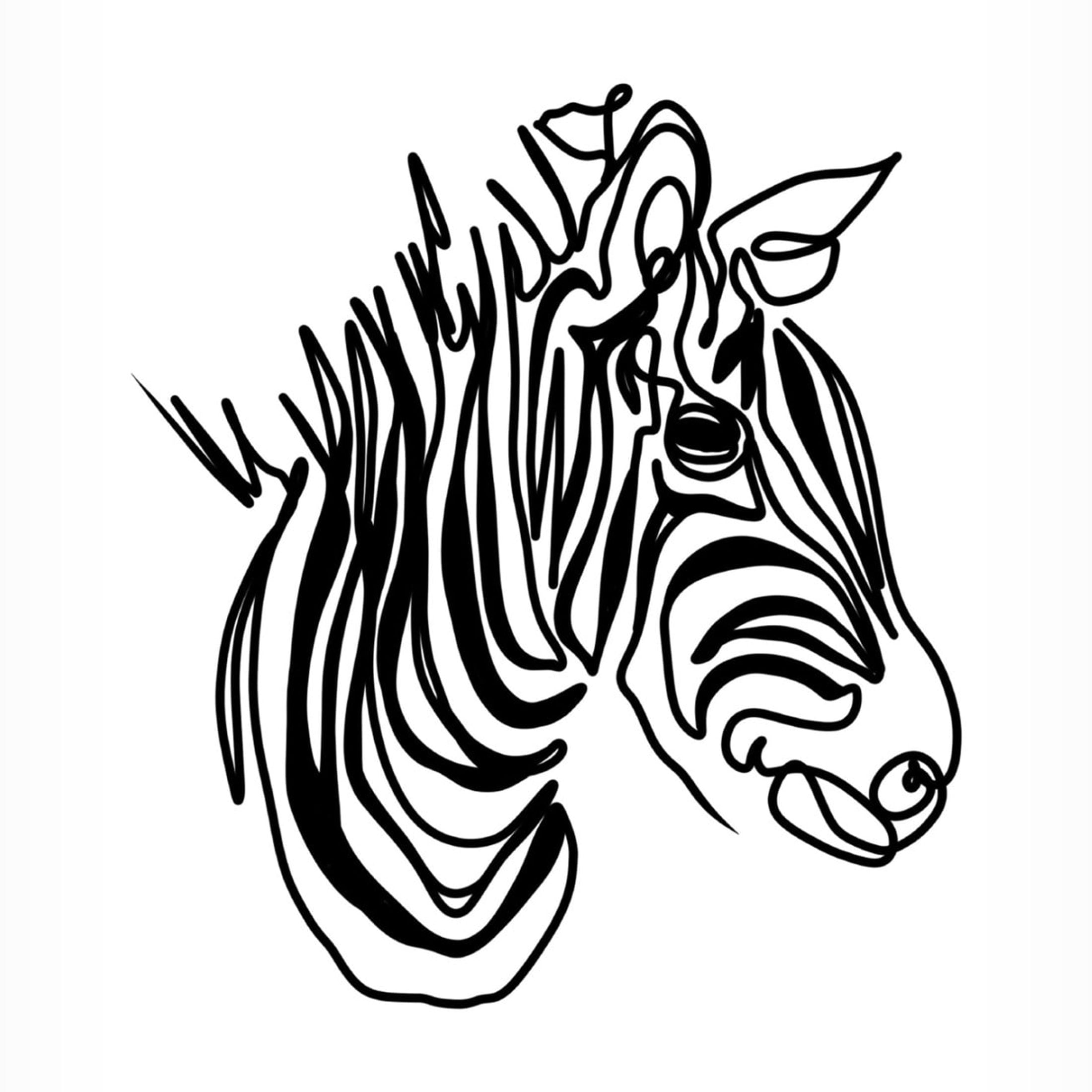 Trademark Fine Art Hanna Lee Tidd The Zebra Canvas Wall Art