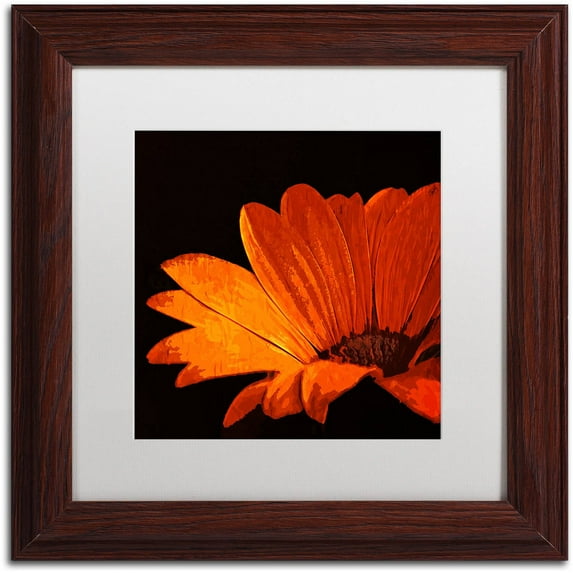 Trademark Fine Art "Happening Now" Canvas Art by Philippe Sainte-Laudy, White Matte, Wood Frame