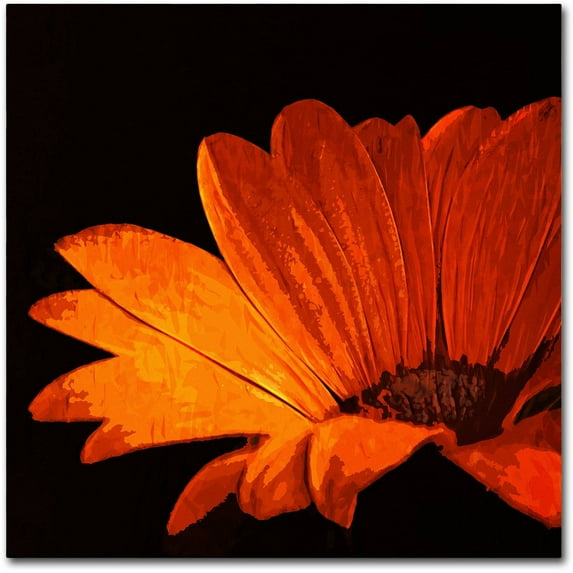 Trademark Fine Art "Happening Now" Canvas Art by Philippe Sainte-Laudy