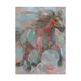 thumbnail image 1 of Trademark Fine Art 'Happy Hooves' Canvas Art by Hooshang Khorasani, 1 of 3