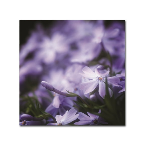 Trademark Fine Art 'Happy Love' Canvas Art by Philippe Sainte-Laudy