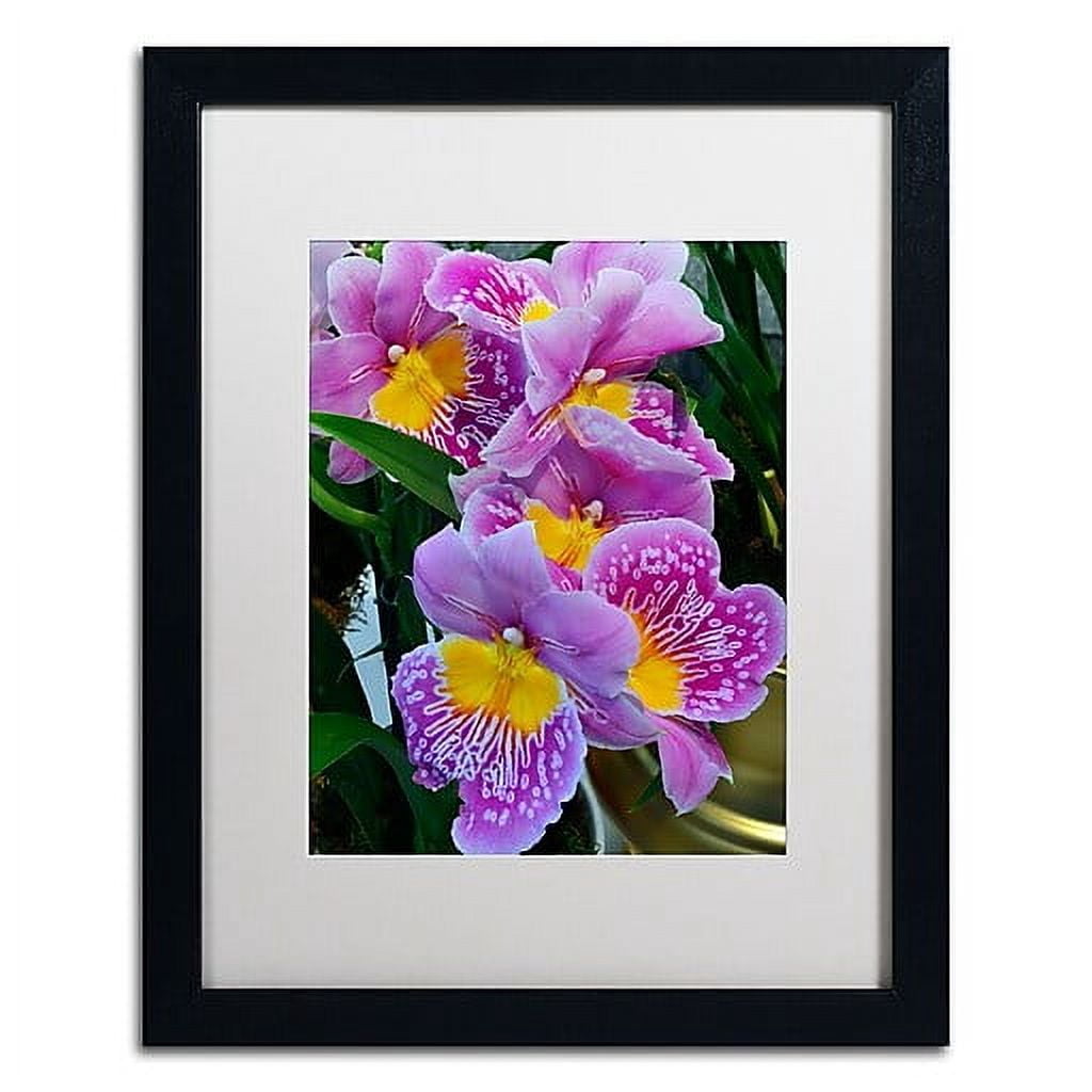 Trademark Fine Art "Happy Orchids" Canvas Art by Kurt Shaffer, White Matte, Black Frame