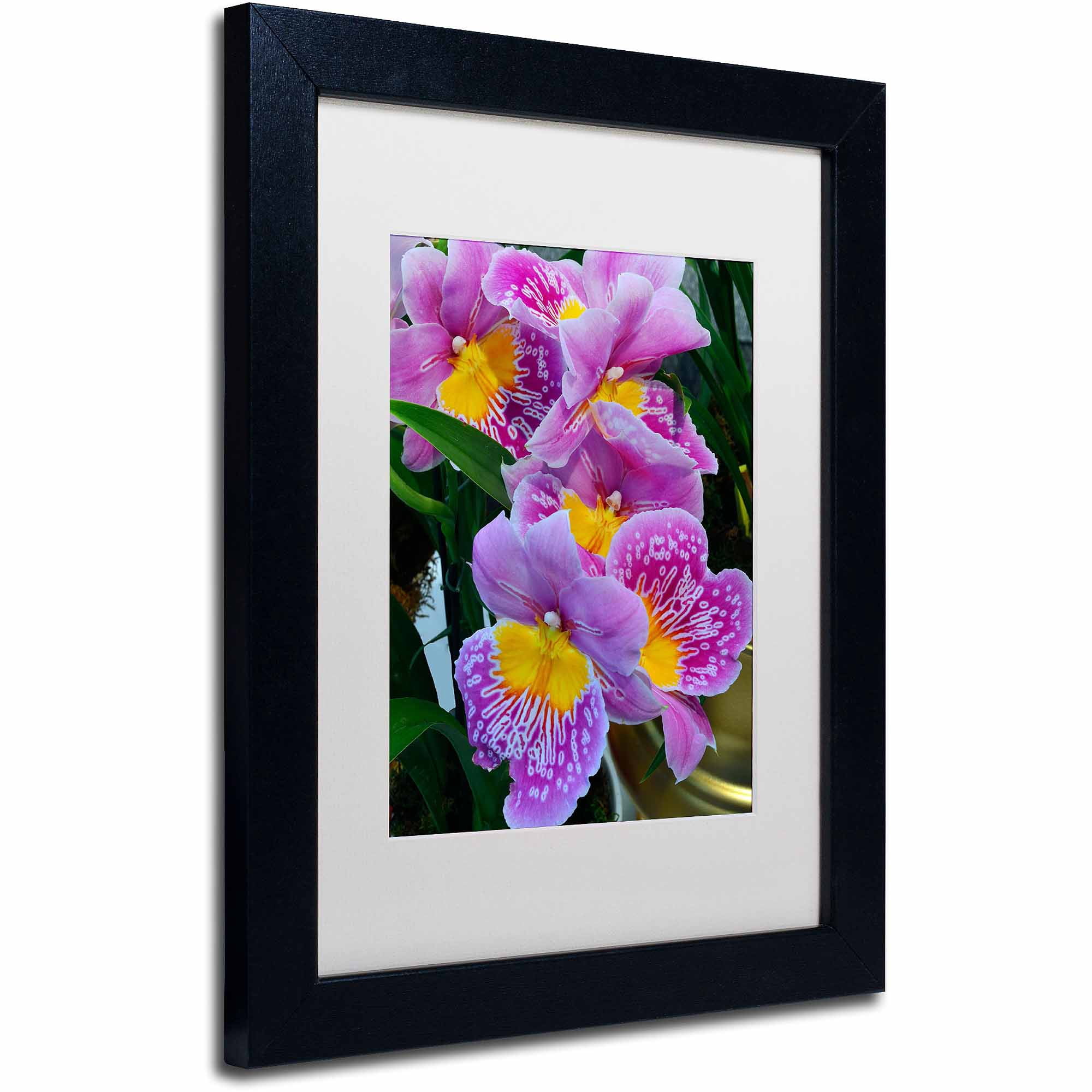 Trademark Fine Art "Happy Orchids" Canvas Art by Kurt Shaffer, White Matte, Black Frame