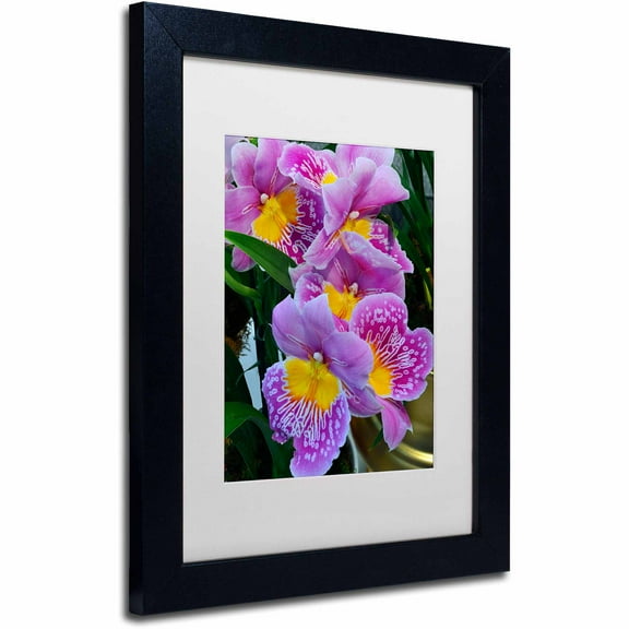 Trademark Fine Art "Happy Orchids" Canvas Art by Kurt Shaffer, White Matte, Black Frame