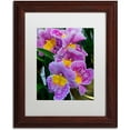 thumbnail image 1 of Trademark Fine Art "Happy Orchids" Canvas Art by Kurt Shaffer, White Matte, Wood Frame, 1 of 1