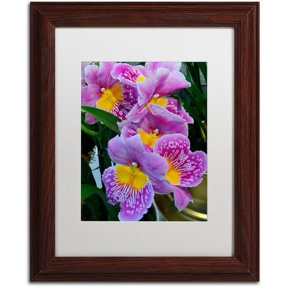 Trademark Fine Art "Happy Orchids" Canvas Art by Kurt Shaffer, White Matte, Wood Frame