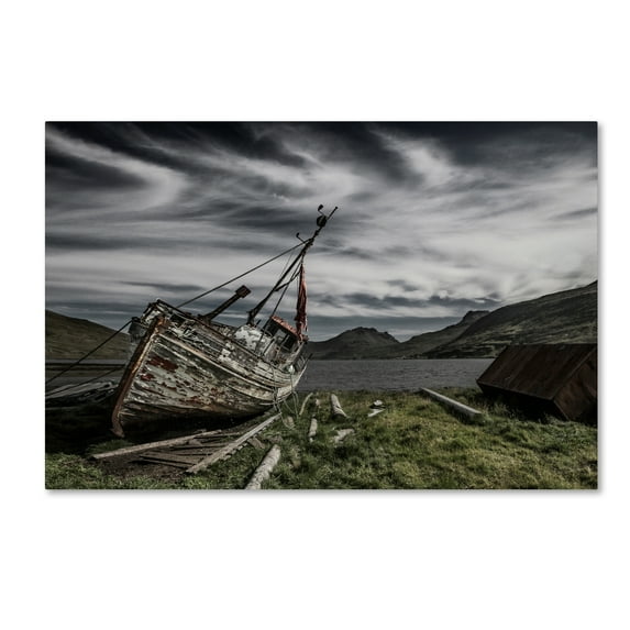 Trademark Fine Art 'Harann' Canvas Art by Bragi Ingibergsson