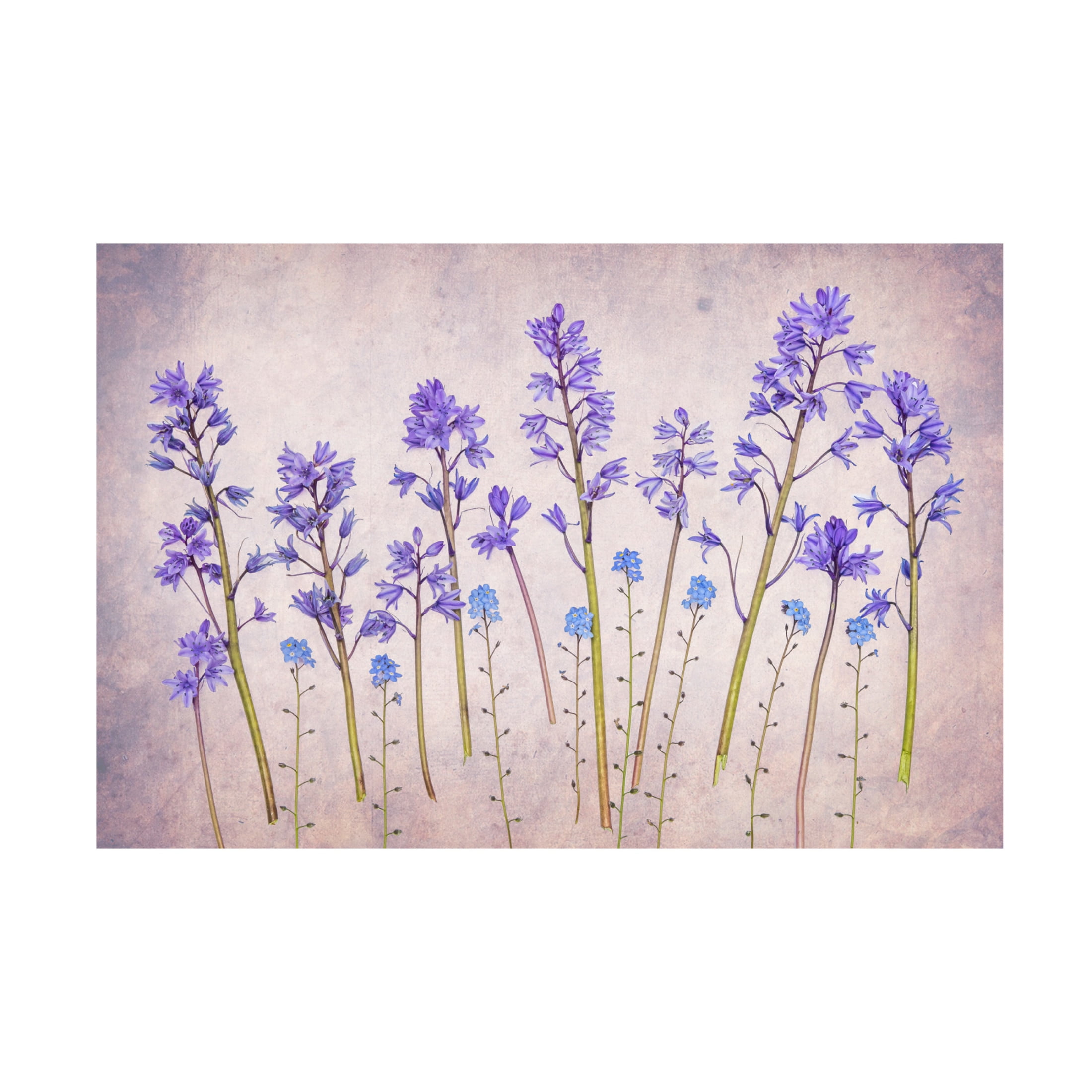 Trademark Fine Art Hardik Pandya Untitled Canvas Wall Art
