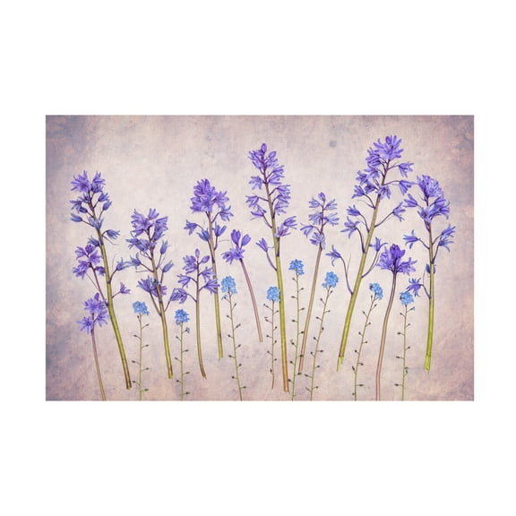 Trademark Fine Art Hardik Pandya Untitled Canvas Wall Art