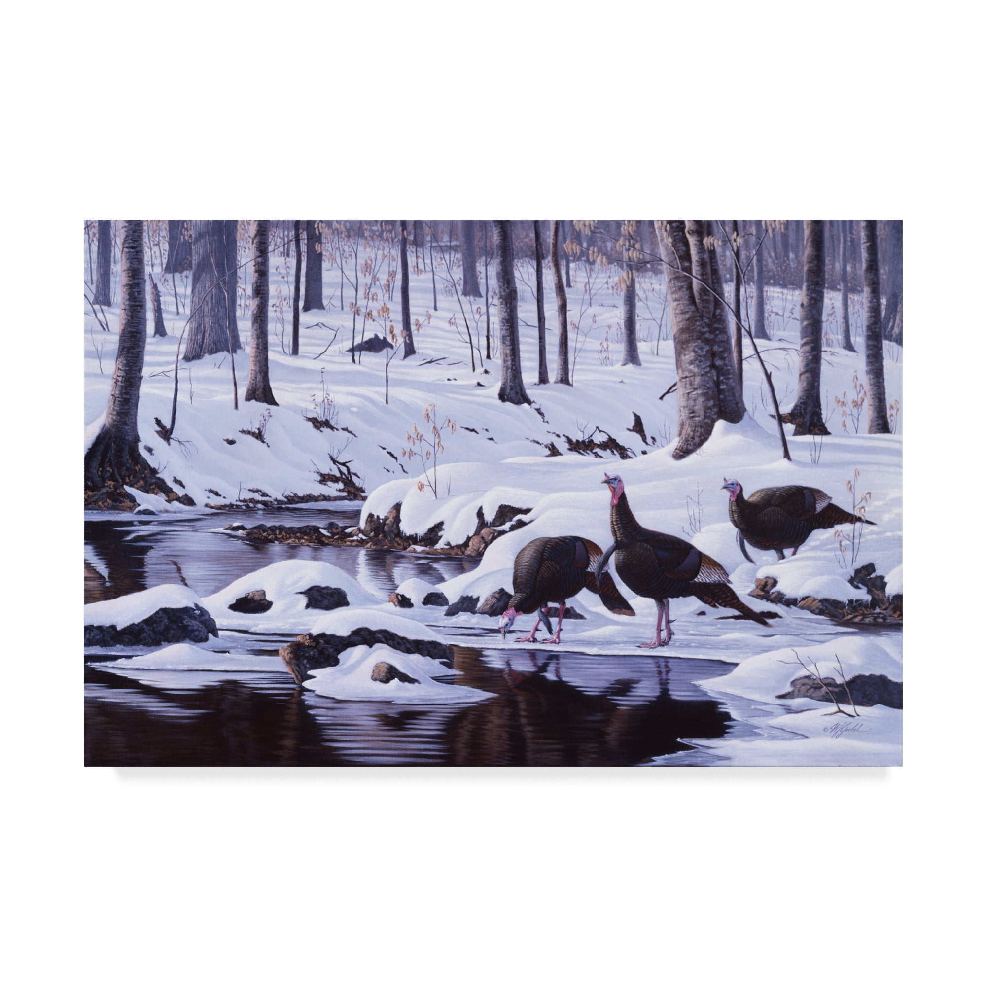 Trademark Fine Art 'Hardwood Creek Wild Turkeys' Canvas Art by Wilhelm Goebel