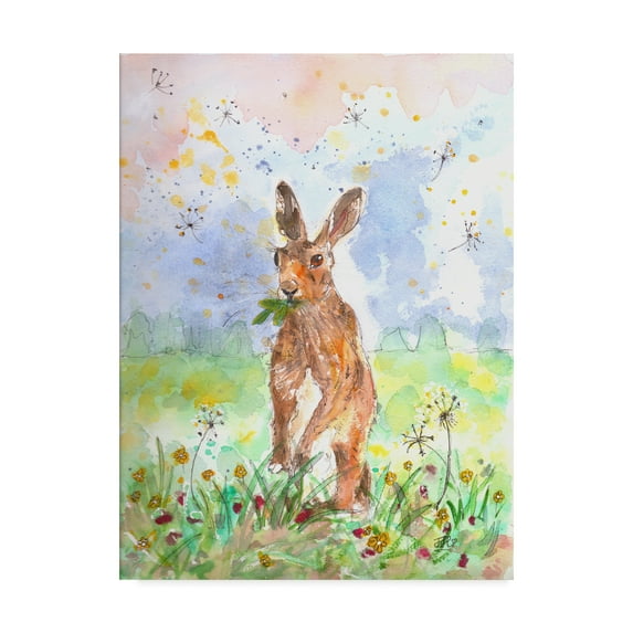 Trademark Fine Art 'Hare Today' Canvas Art by Jane Hinchliffe