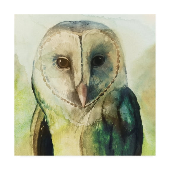 Trademark Fine Art 'Harlequin Hibou I' Canvas Art by Grace Popp