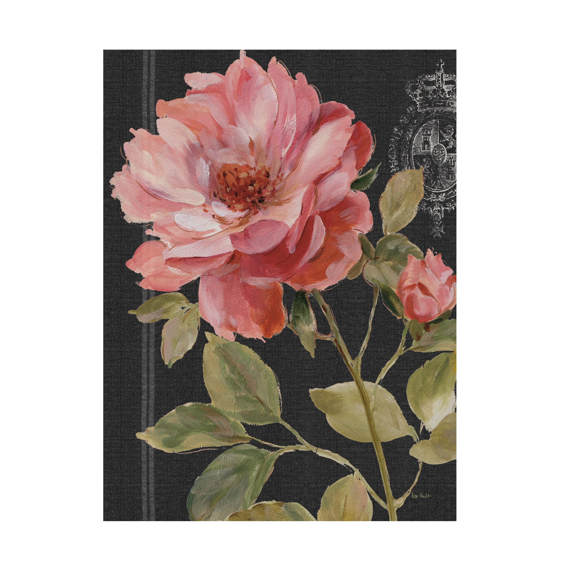 Trademark Fine Art 'Harmonious Rose Black' Canvas Art by Lisa Audit