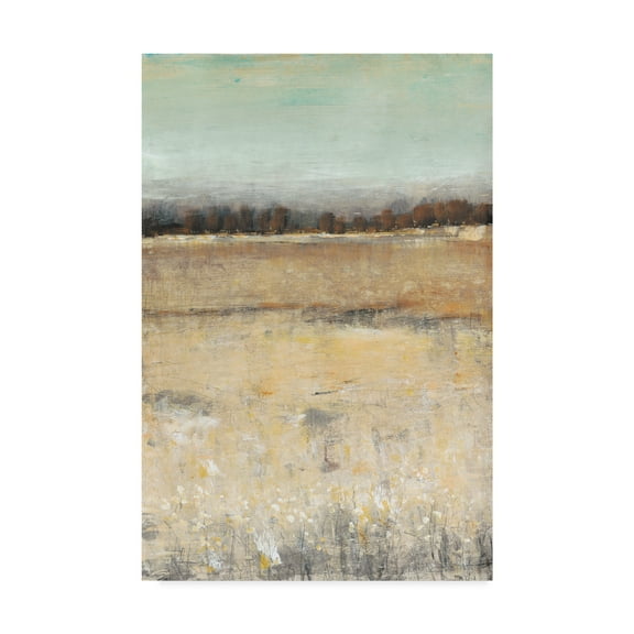 Trademark Fine Art 'Harvest Day I' Canvas Art by Tim OToole