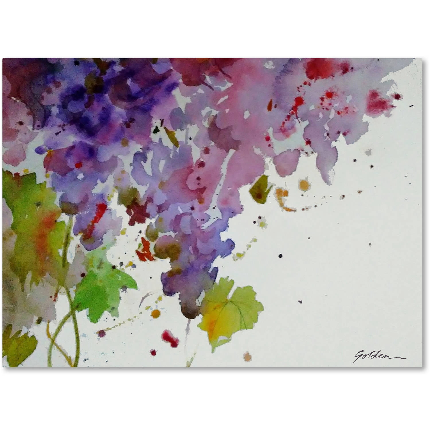 Trademark Fine Art "Harvest I" Canvas Art by Sheila Golden