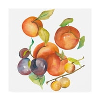 Trademark Fine Art 'Harvest Medley I' Canvas Art by Chariklia Zarris