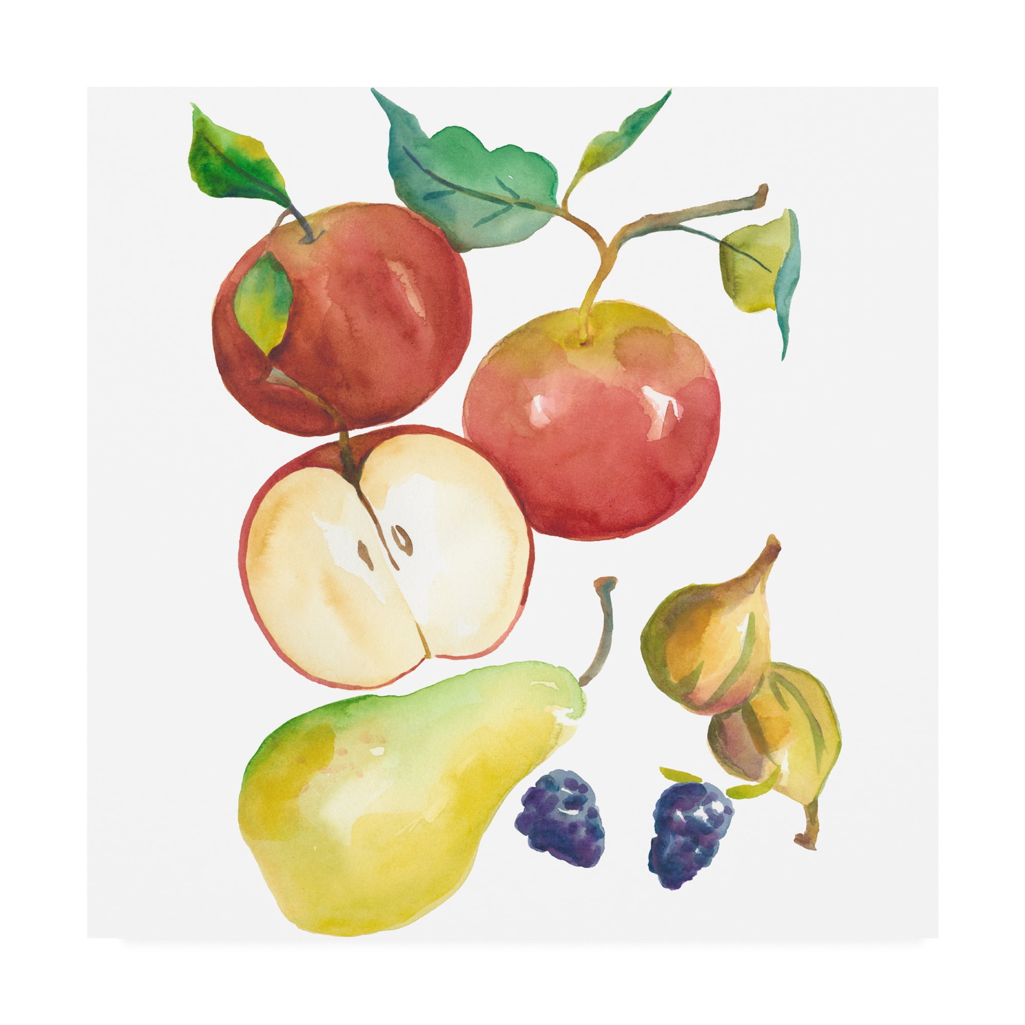 Trademark Fine Art 'Harvest Medley II' Canvas Art by Chariklia Zarris